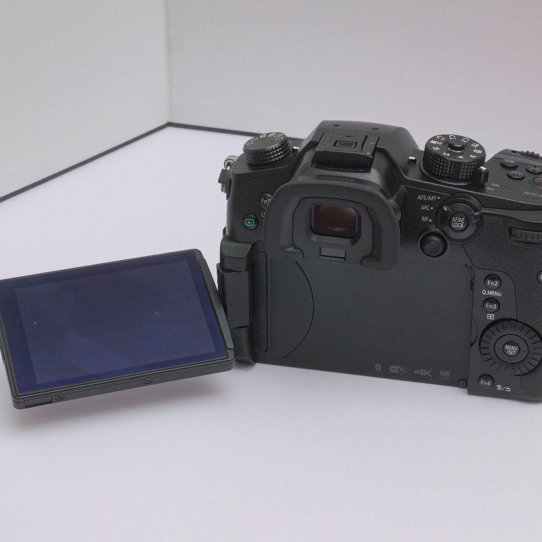 lumix gh5　v-logアップデート済み　ストロボセット