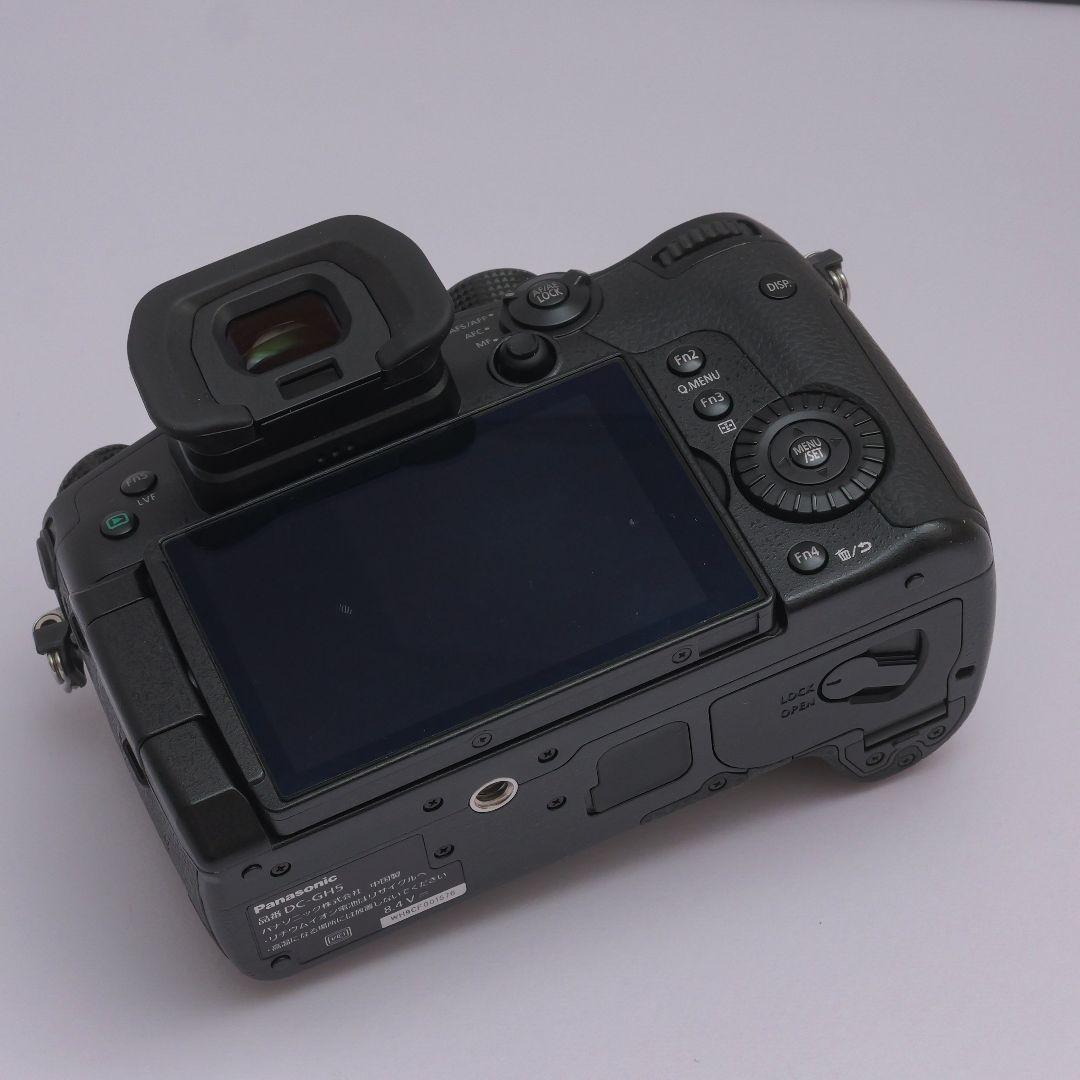 lumix gh5　v-logアップデート済み　ストロボセット