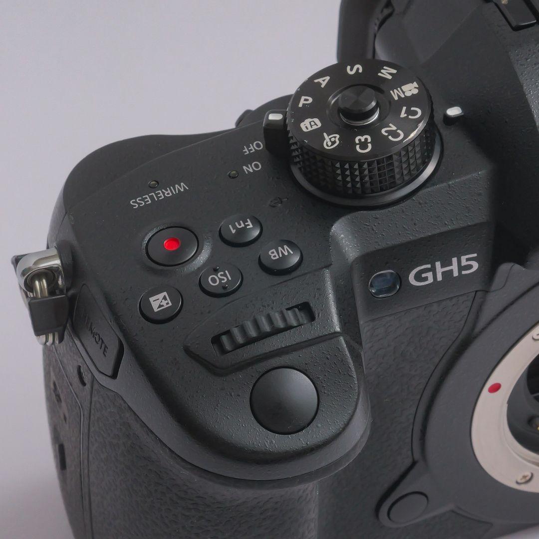 lumix gh5　v-logアップデート済み　ストロボセット