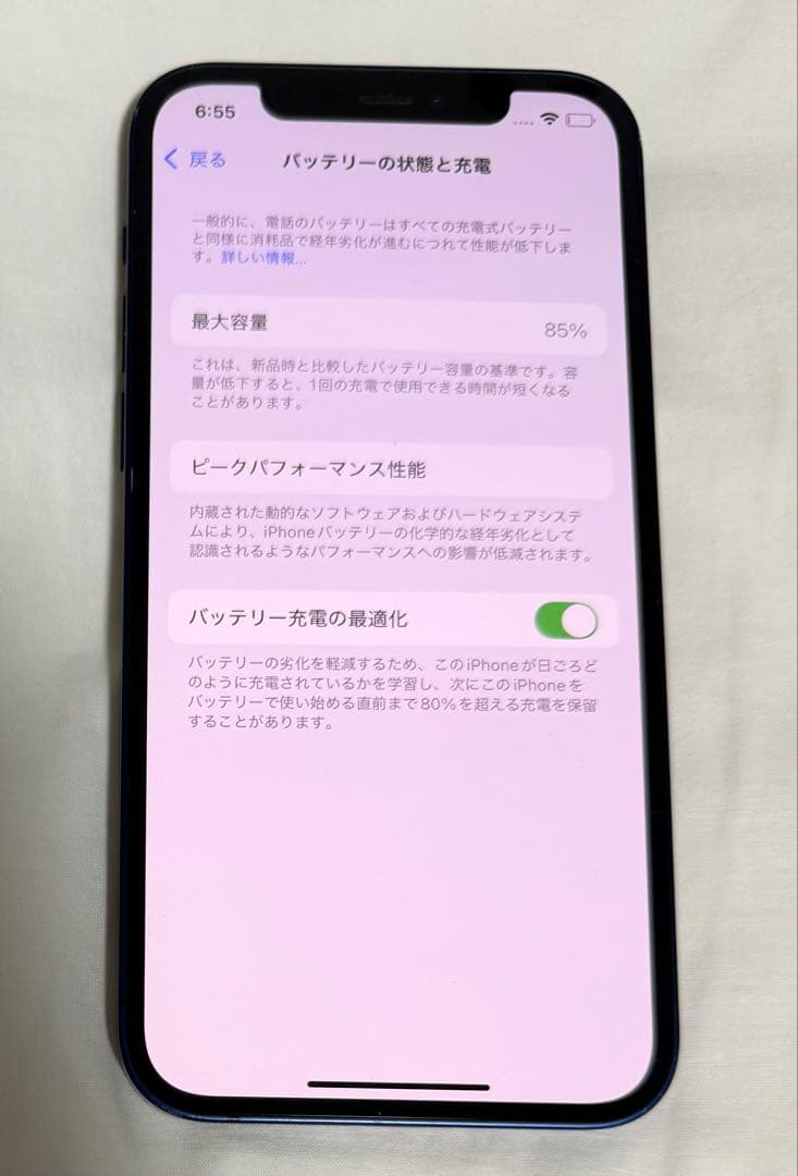 Apple iPhone 12 本体 青色