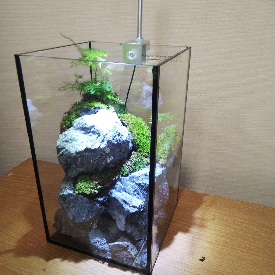 【受注生産】苔テラリウム