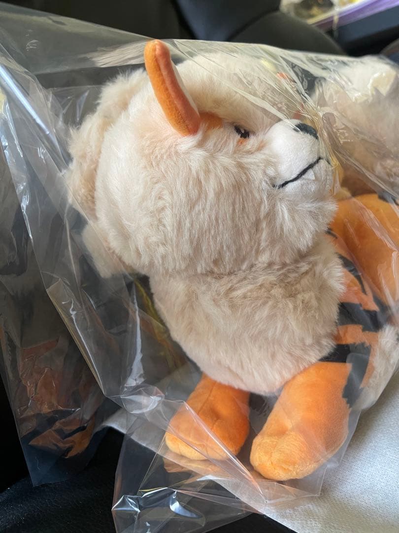 ポケモン　マスキングテープ　メタモンセット