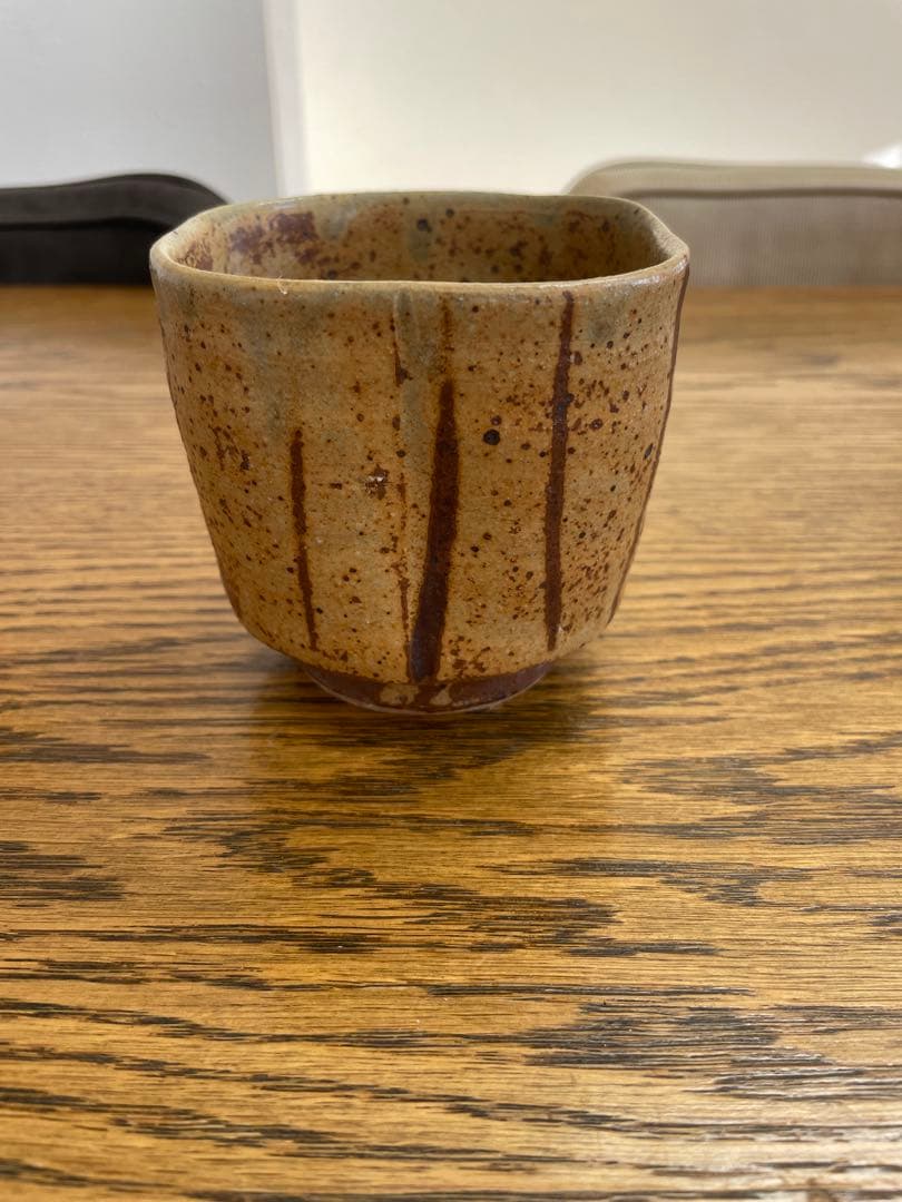 作家鉢　アンドリュー・ゲムリッチ　AndrewGemrich スカル