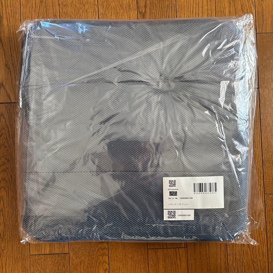 エアウィーブシアタークッション(袋付)