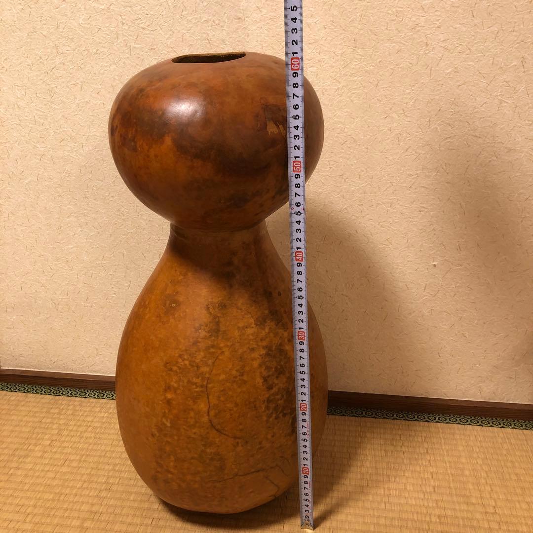 イプヘケ　大きめ61センチ　フラダンス