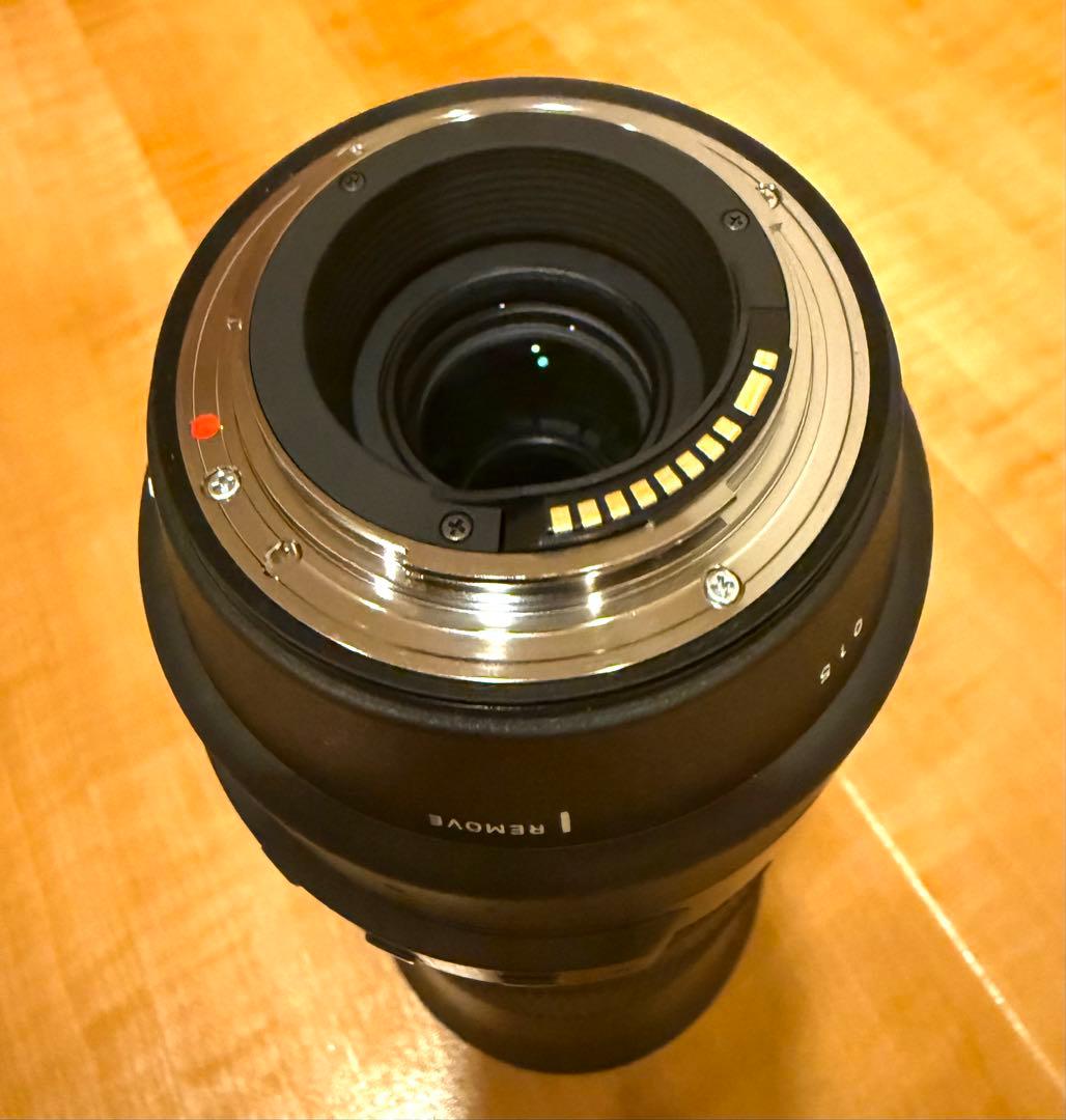 【10/2情報更新】SIGMA 150-600mm キヤノンEFマウント