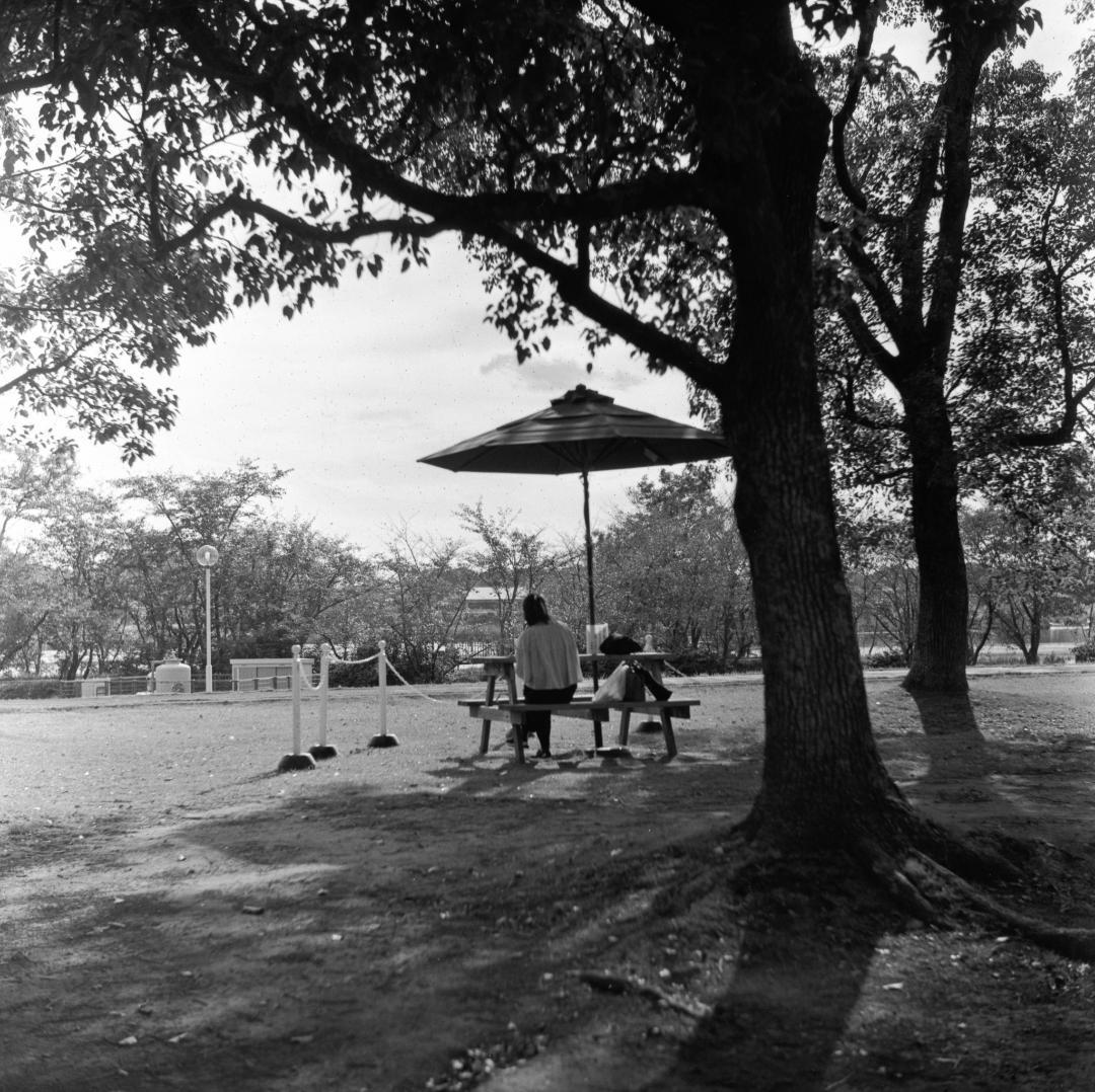 【作例あり】動作品　Minolta Autocord　二眼レフ