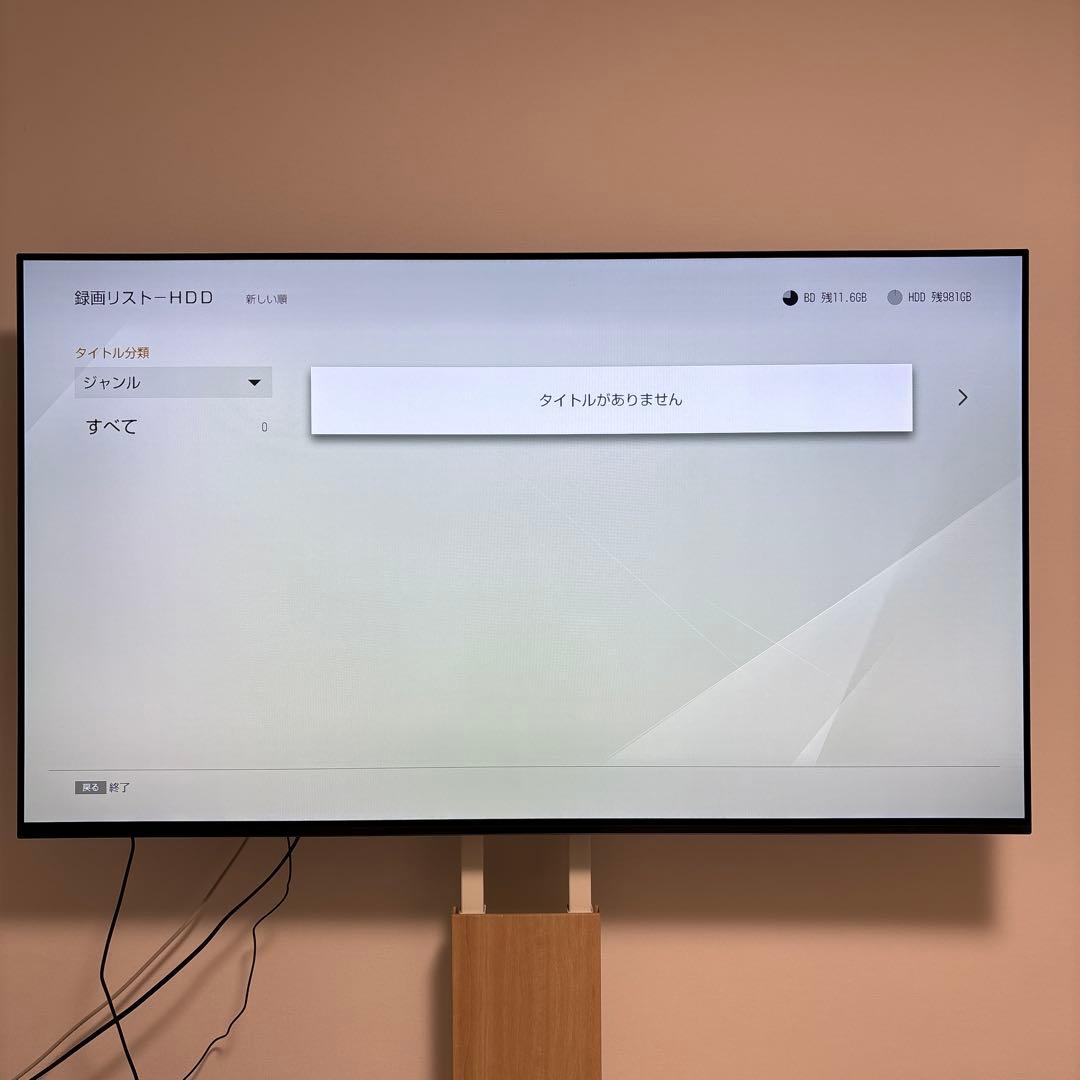 SONY BDZ-ZW1500 中古　付属品あり