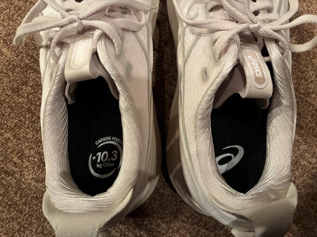 アシックス メンズ GEL-KAYANO 32 | 26.0 cm 2E