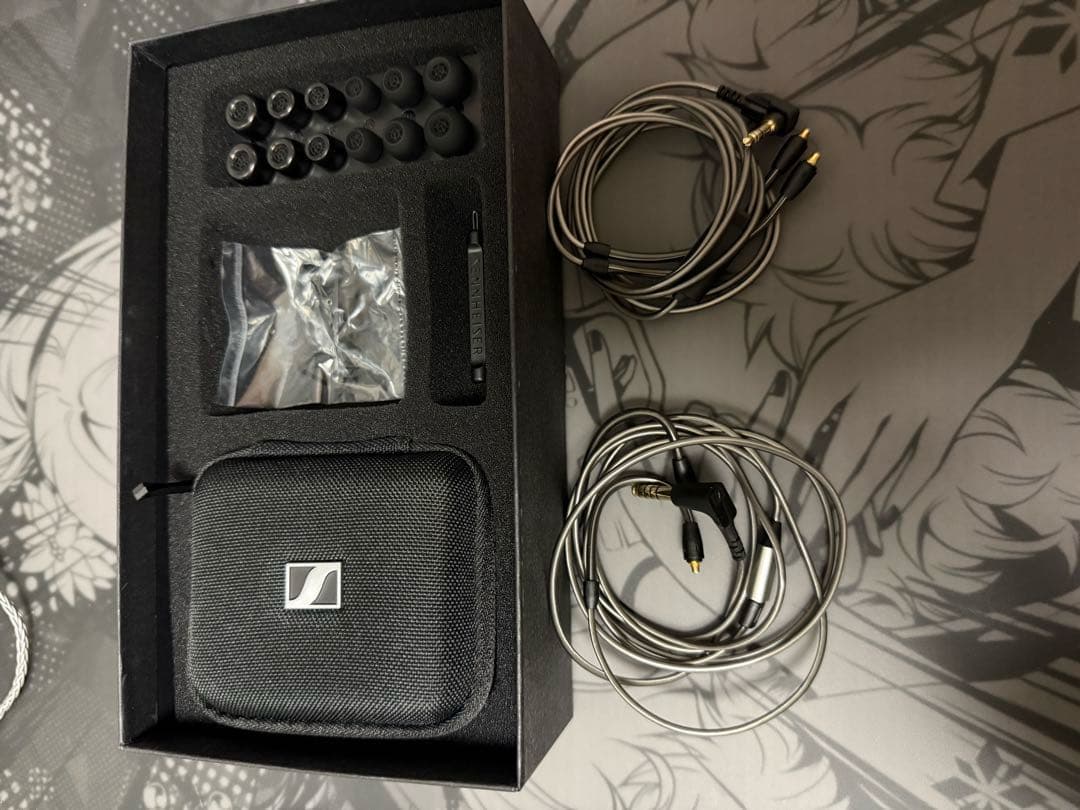 ゼンハイザー（SENNHEISER） ie600