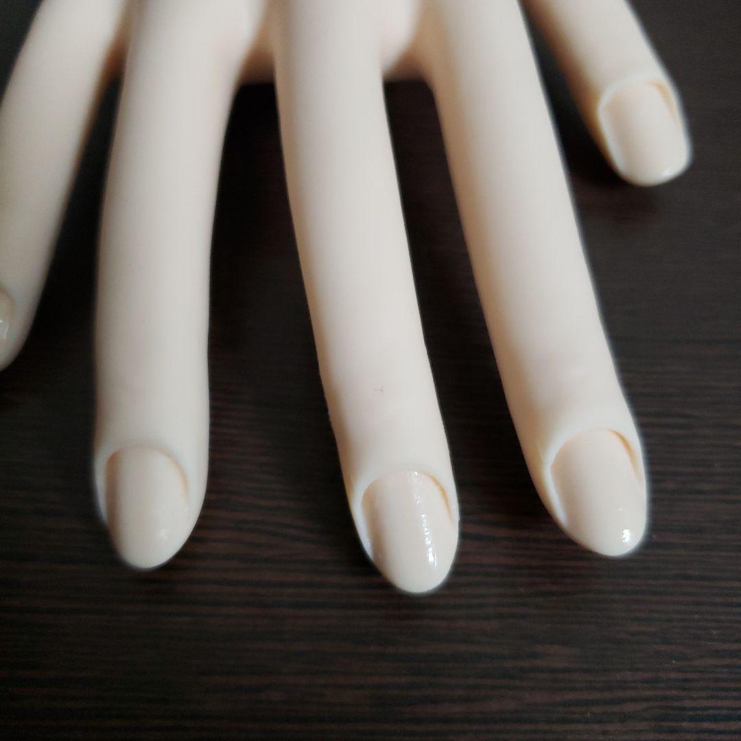 JNEC認定モデルハンド 両手 ネイリスト