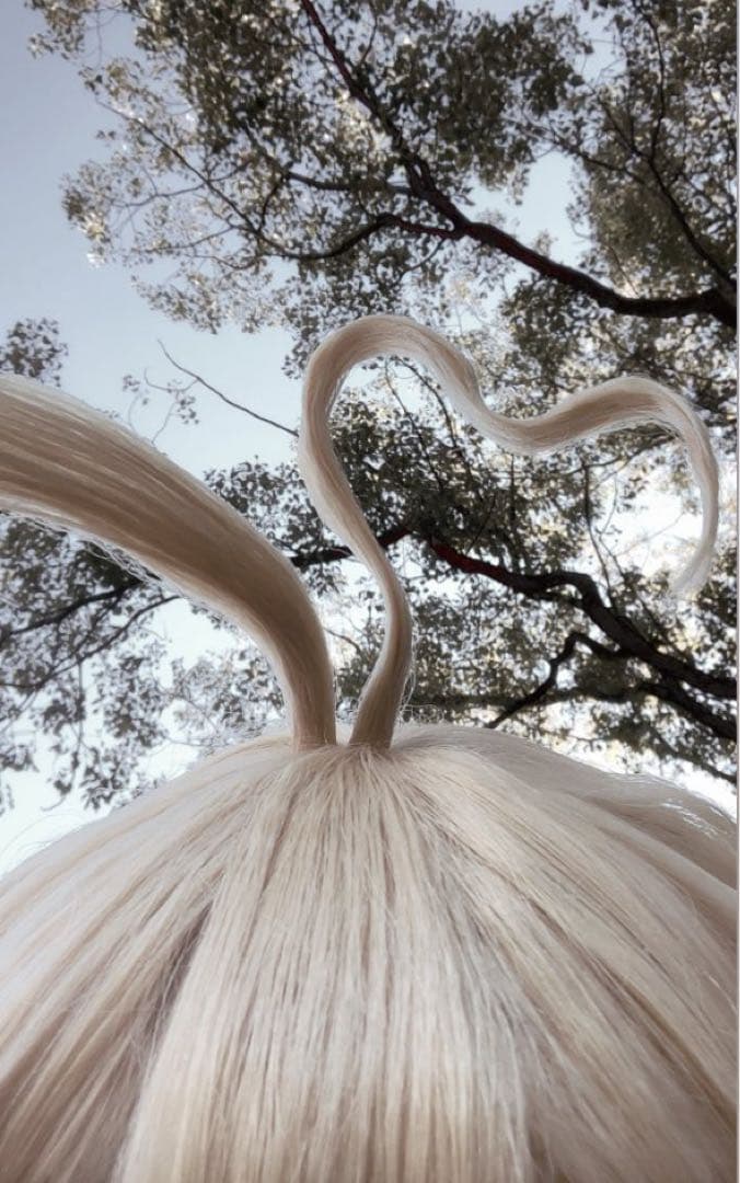 7年後スイカ ウィッグ