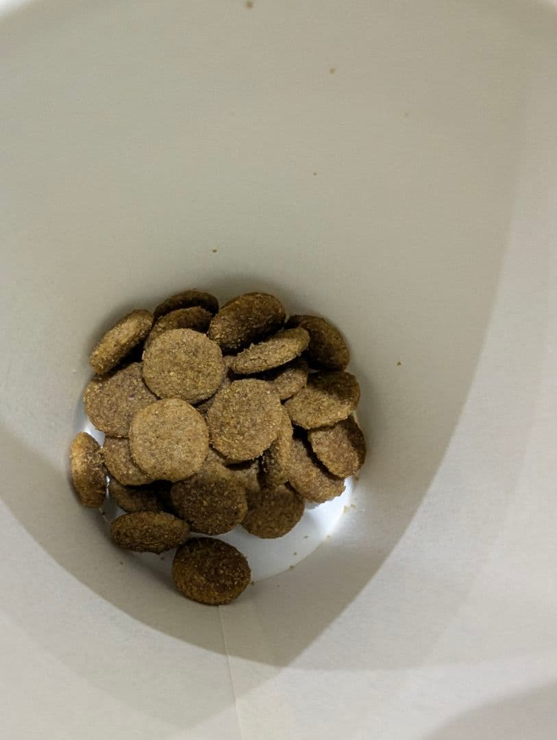 ドッグフード ドライフード 18kg