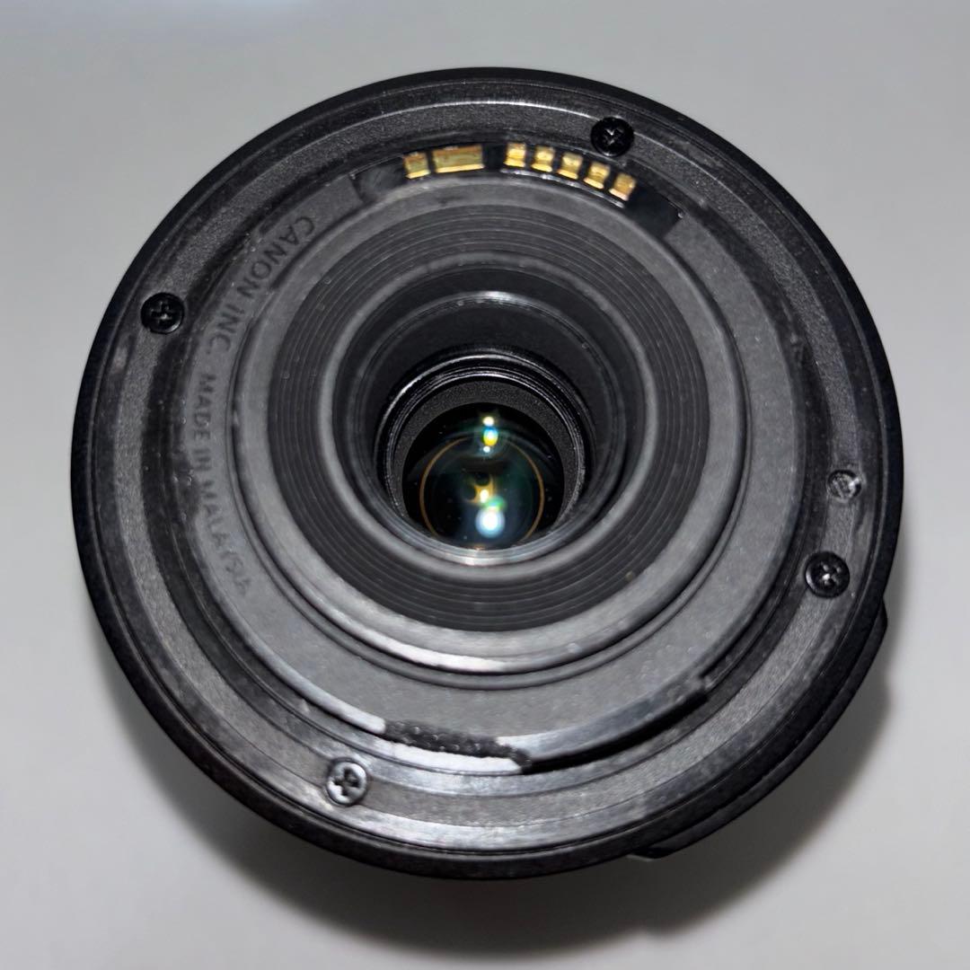 CANON EF-S 55-250mm 1:4-5.6 IS Ⅱ