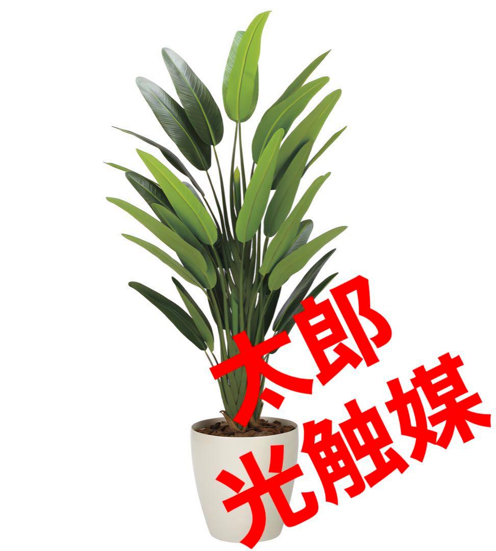 光触媒　人工観葉植物　フェイクグリーン　フレッシュトラベラーズパーム1.7m