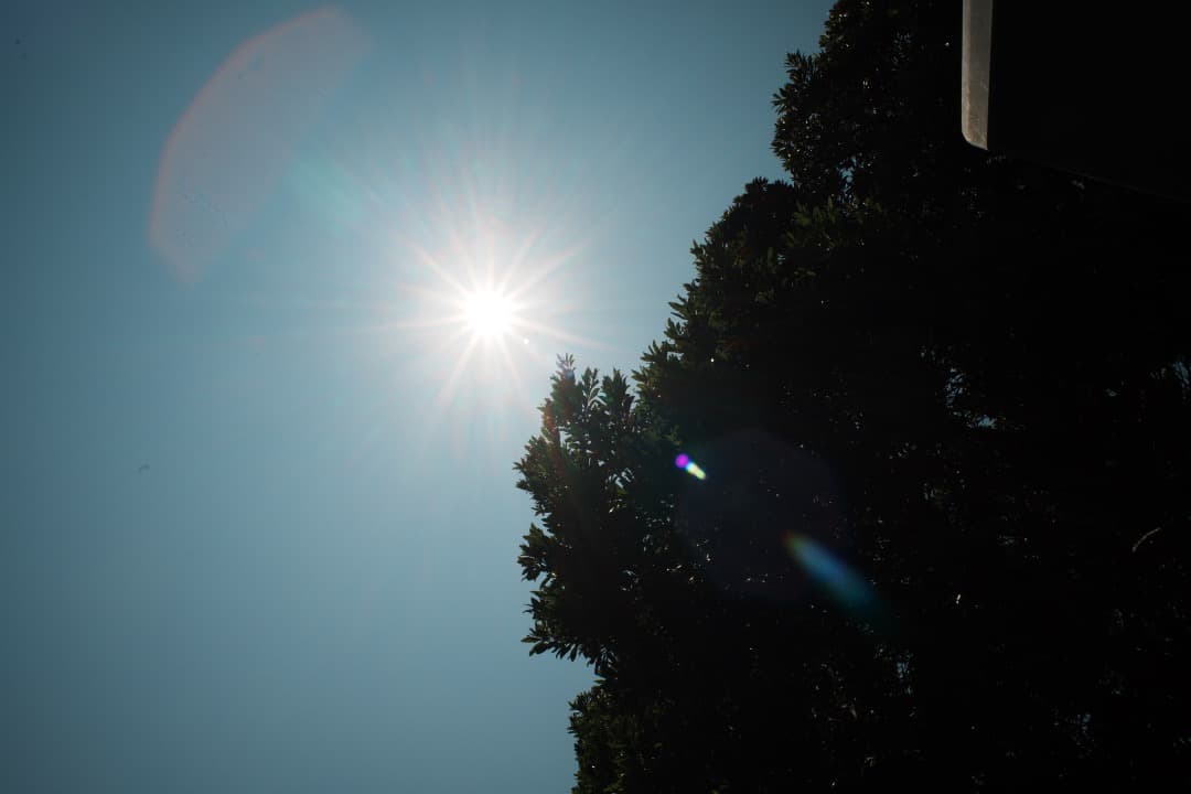 整備＆テスト済 Nikon AF Nikkor 24mm F2.8 D 994