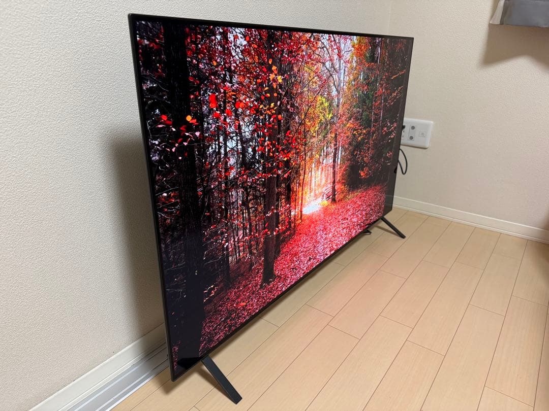 LG OLED 55インチ4K有機ELテレビ OLED55A2PJA