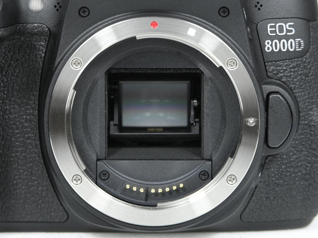 【ほぼ新品】 Canon EOS 8000D ダブルズームキット《SC数279》