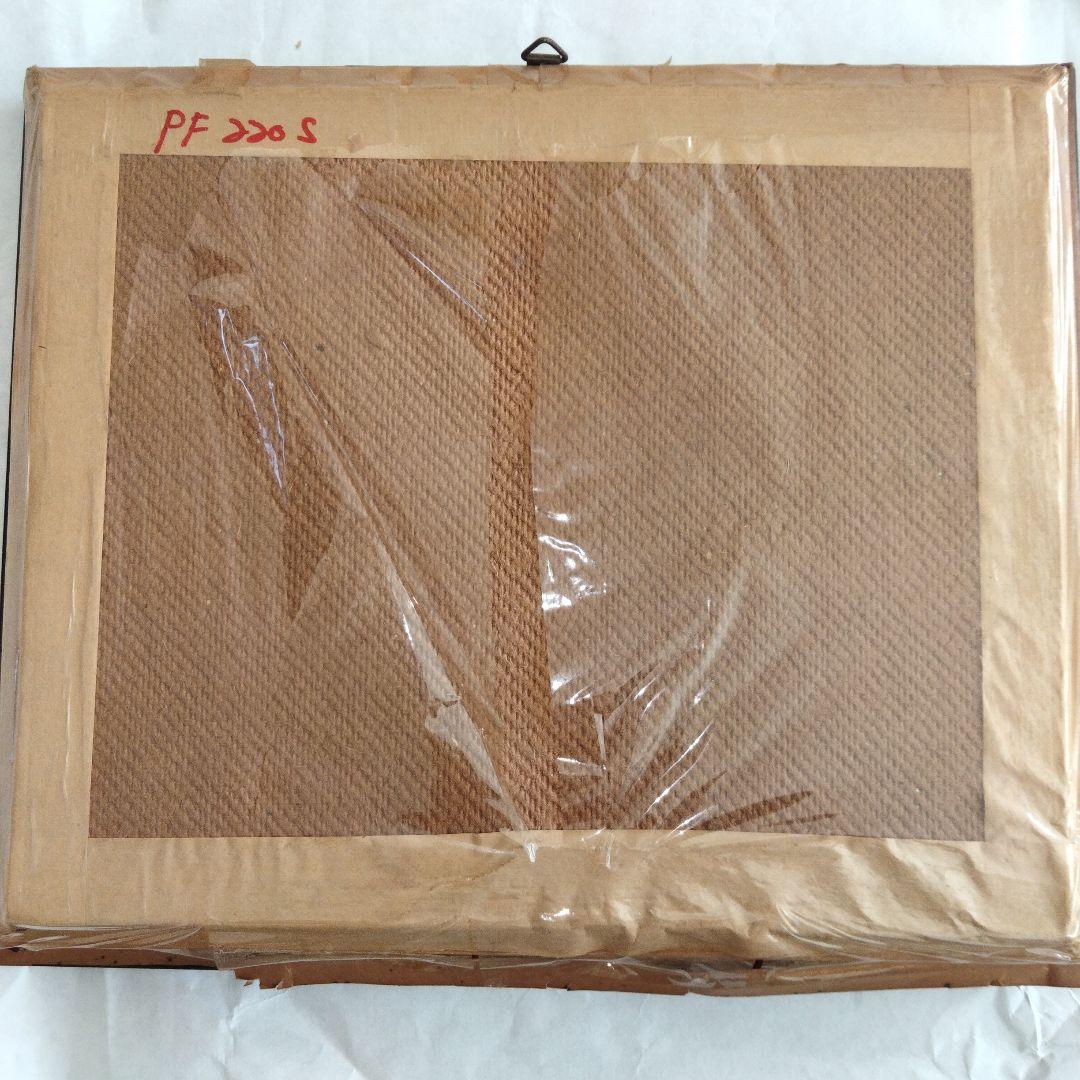 美しい蝶の標本セット 9匹