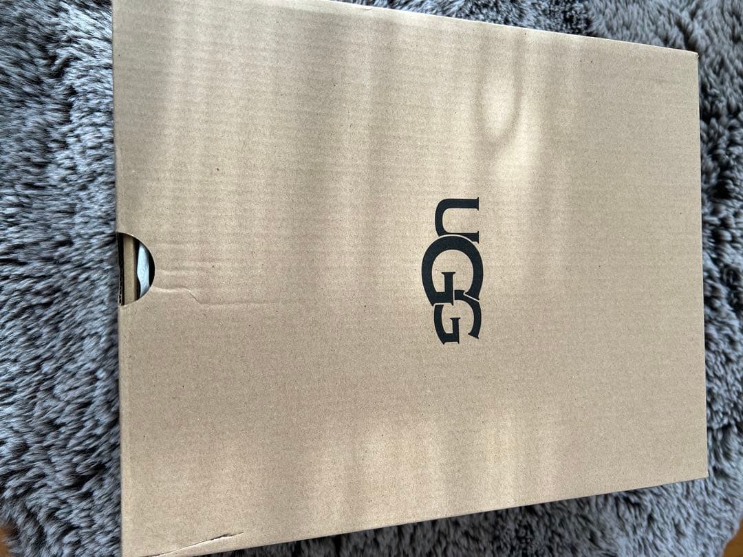 UGG W Mini Bailey Button II チェスナット 6