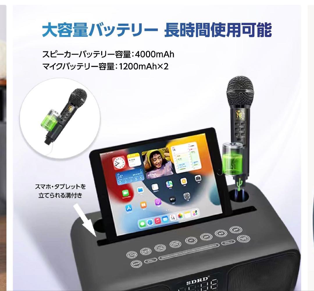 SDRD カラオケセット　シルバー