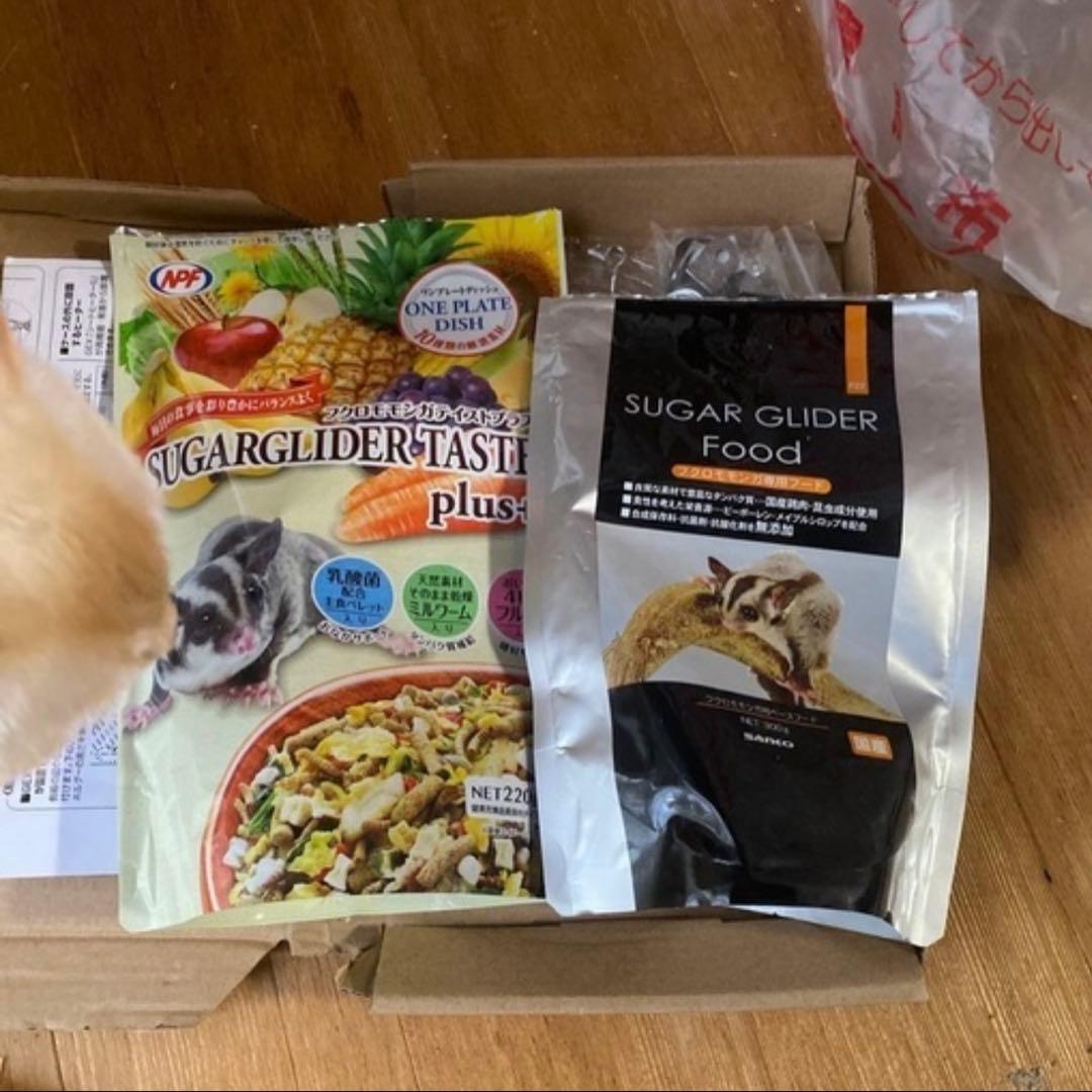 アクリル製ケージ 390mm高 通気口付き