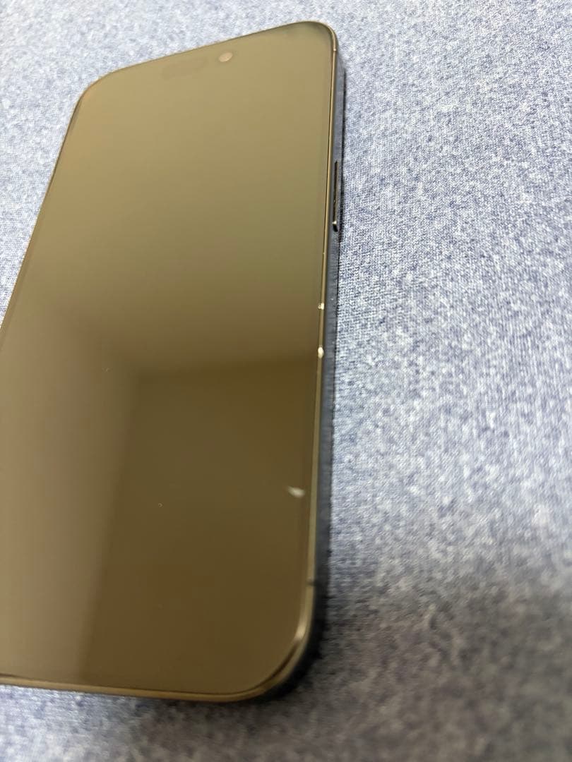 スマートフォン本体 Apple iPhone 15Pro 256GB docomo