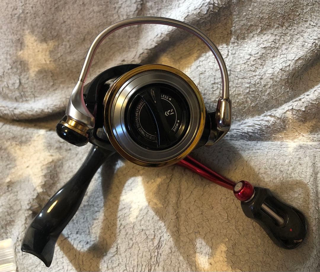 Daiwa 13イージス 2004 &ヘッジホグベアリングキット