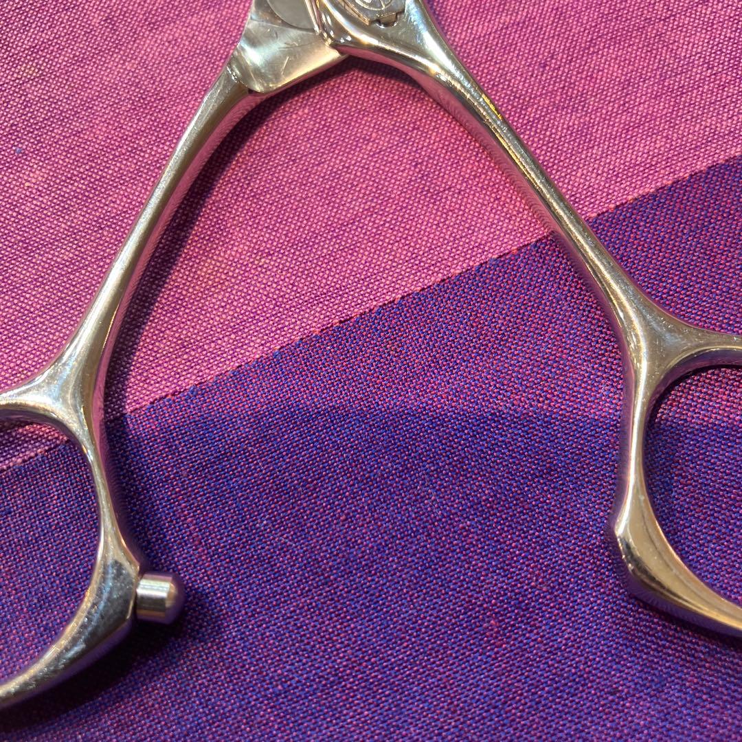 ロイヤルマスターシザー