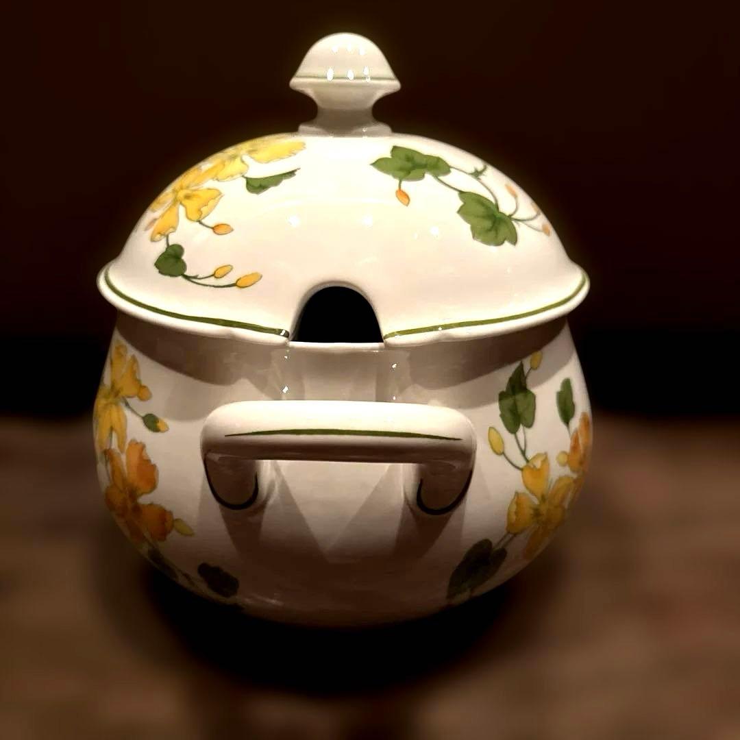 ビレロイ&ボッホゼラニウム未使用チューリーン