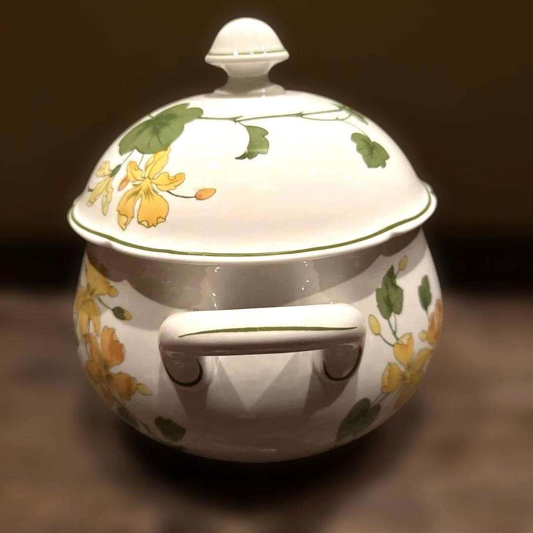 ビレロイ&ボッホゼラニウム未使用チューリーン