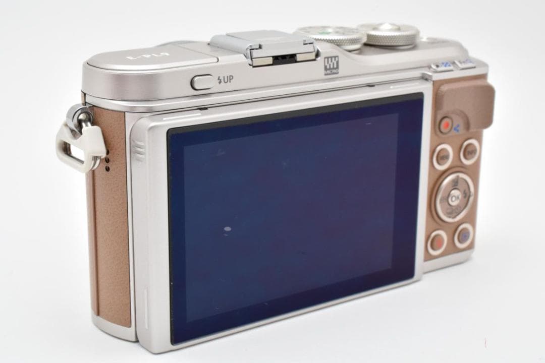 【箱付き】 OLYMPUS オリンパス PEN E-PL9 ミラーレス一眼カメラ