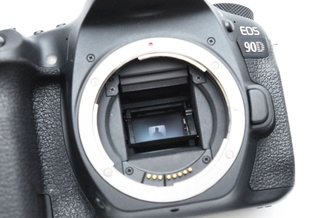 保証付/Canon EOS 90D標準&望遠&単焦点トリプルレンズセット