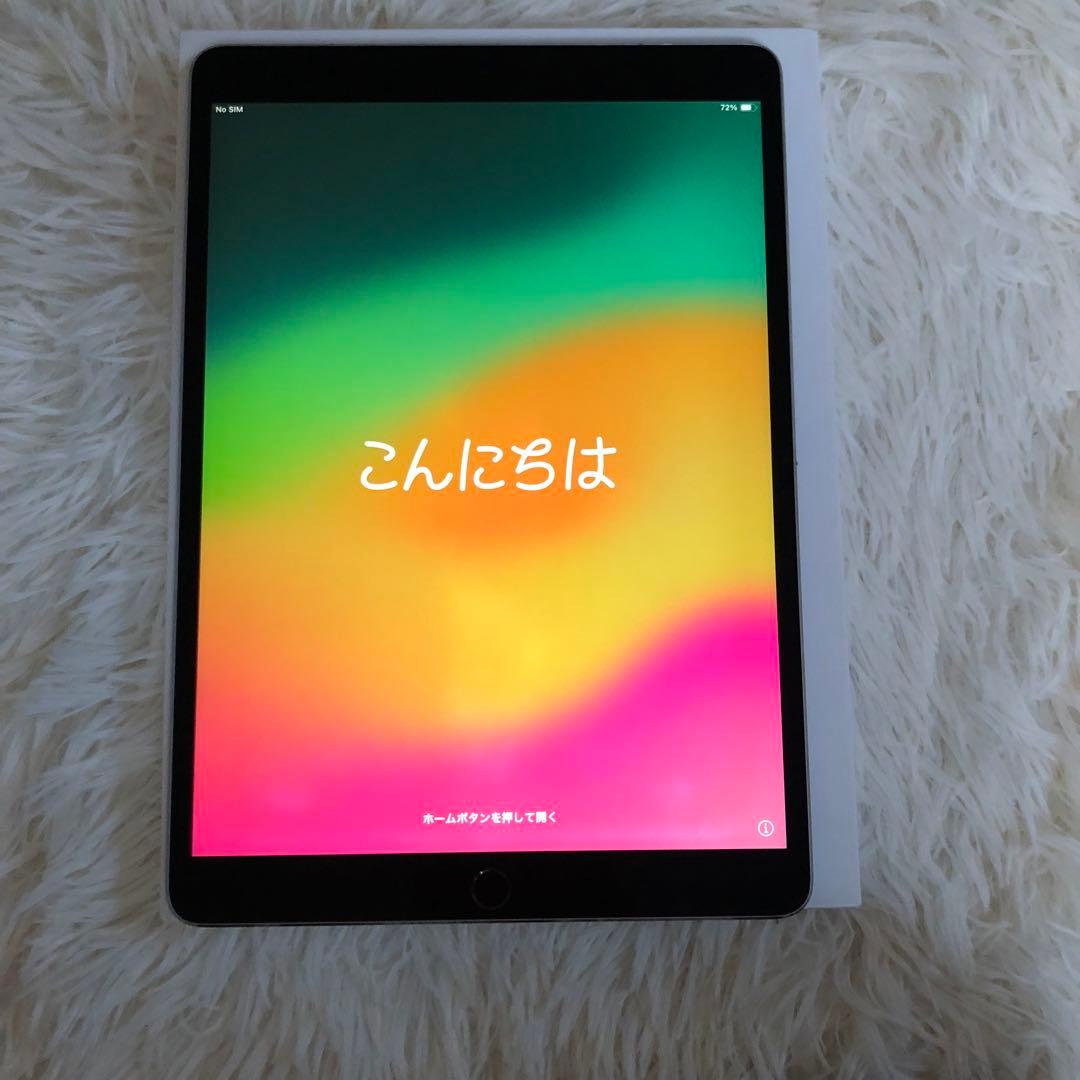 【完動品】iPad Pro 10.5 256GB SIMフリー【すぐ発送】