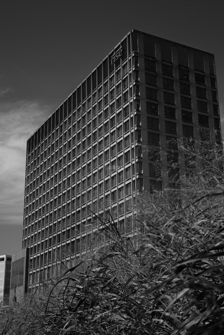 良品！虹の出る癖玉！Leica Summar 50mm f2 オールドレンズ