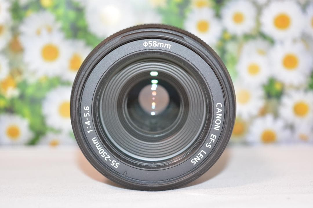 ❤❤Canon EF-S 55-250mm F4-5.6 IS❤手振れ補正❤望遠