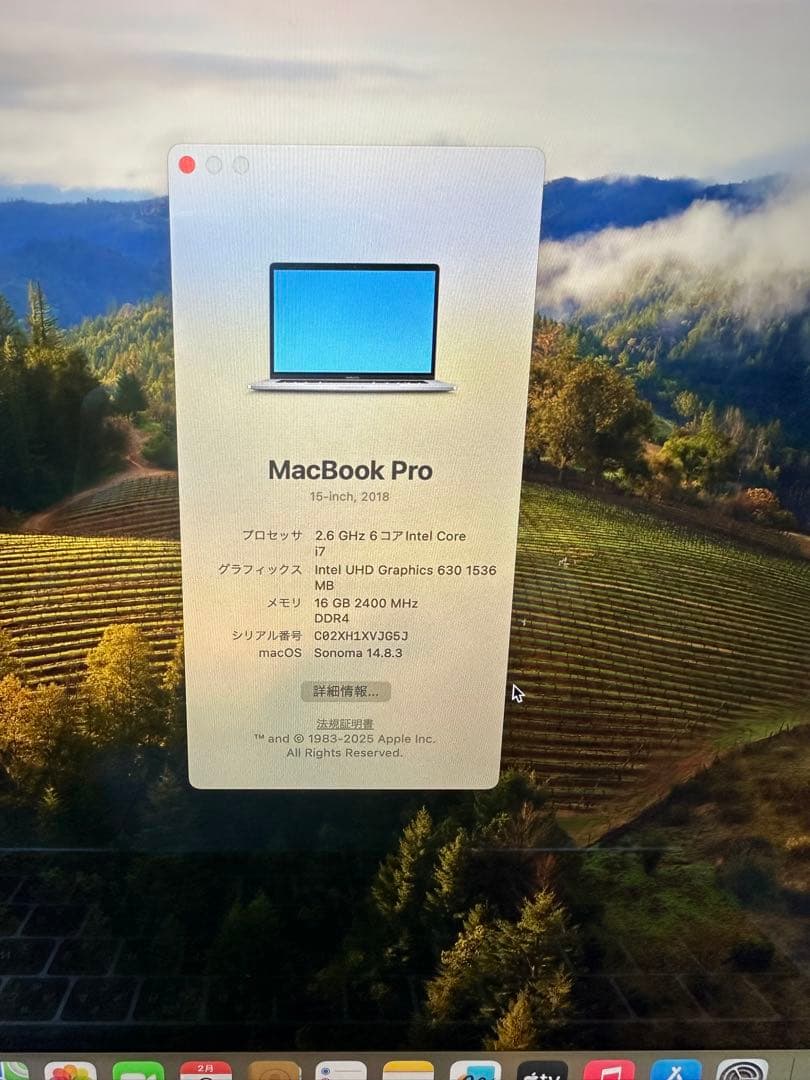 MacBook本体 MacBook Pro 2018 15inch Core i7 16Gb 512