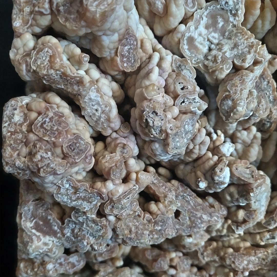 大迫力！枝幸瑪瑙 めのう メノウ（北海道枝幸産）28,4kg 水石 鑑賞石