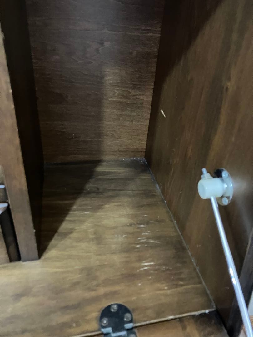 ライティングビューロー　森のサーカス