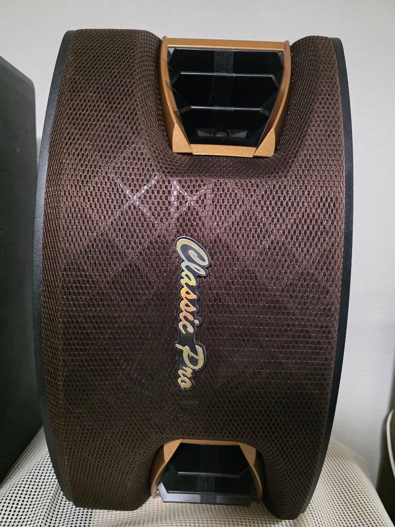 Karaoke スピーカーCLASSIC PRO KT200BR　ペア