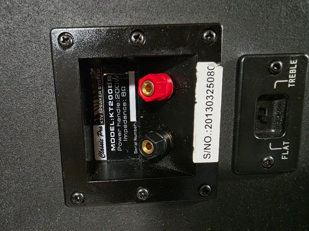 Karaoke スピーカーCLASSIC PRO KT200BR　ペア