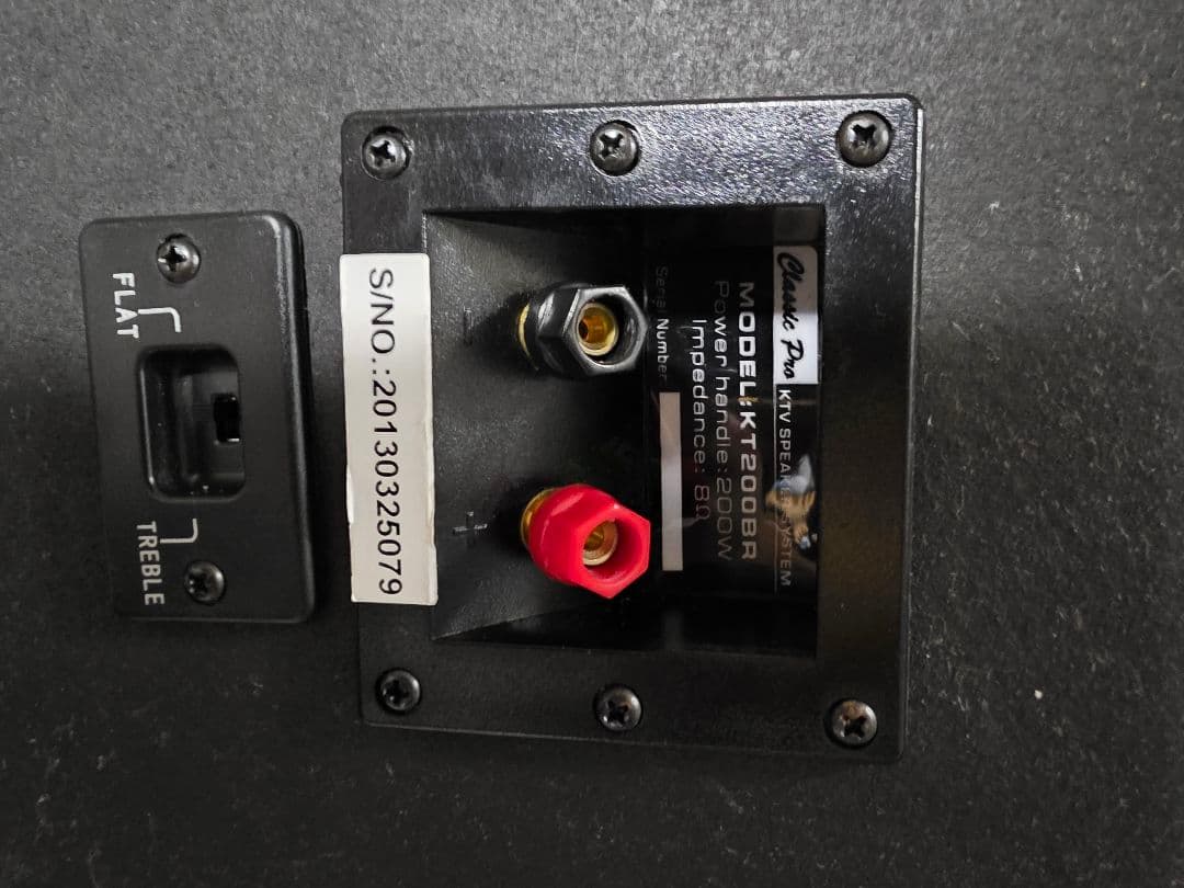 Karaoke スピーカーCLASSIC PRO KT200BR　ペア