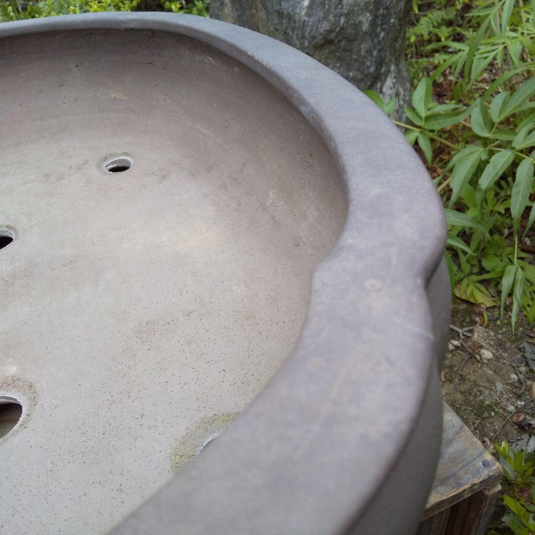 常滑焼 盆栽鉢 松柏類 大品『松下陶園』泥鉢 泥物 外縁 小判 隅入 袋形 切足