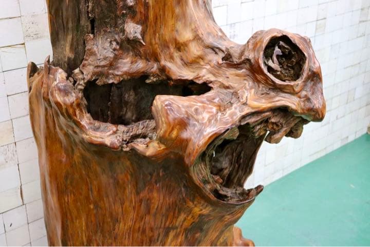 GMFS276○世界遺産屋久杉 無垢 一枚板 衝立 パーティション オブジェ 置