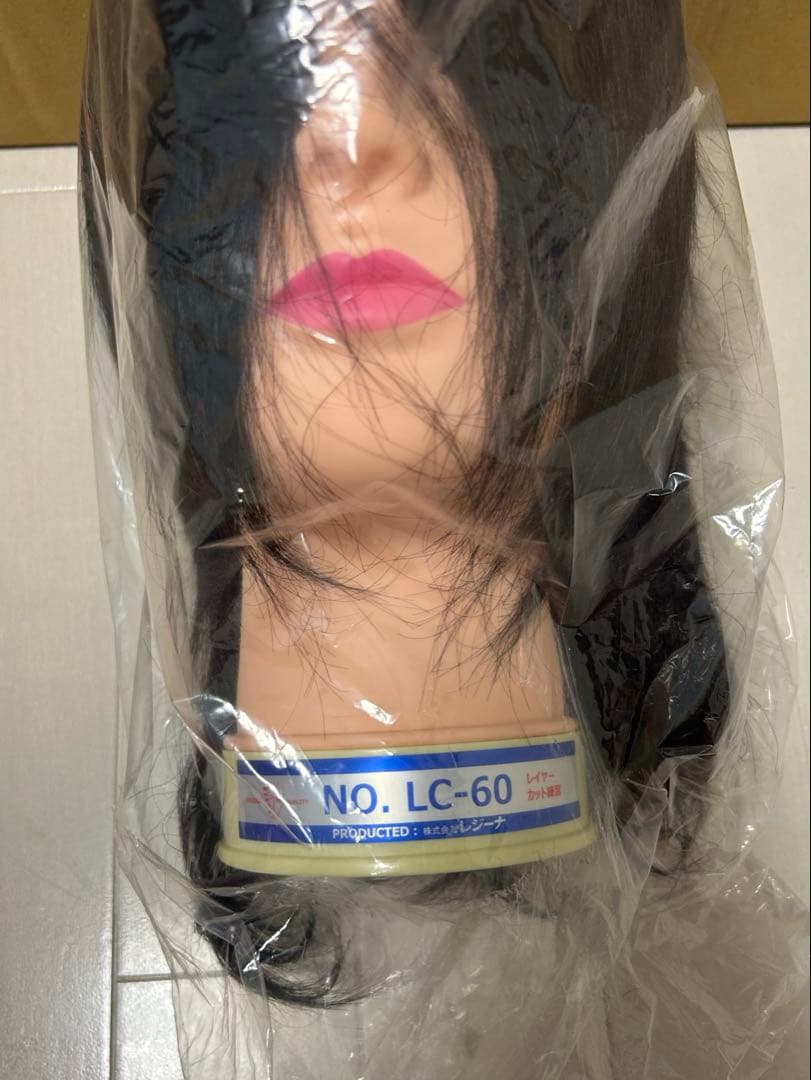 カットウィッグ 計16体