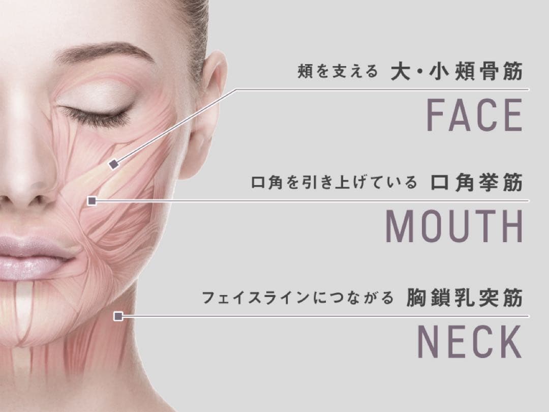 リフトケア★美顔器 バイタリフト かっさ