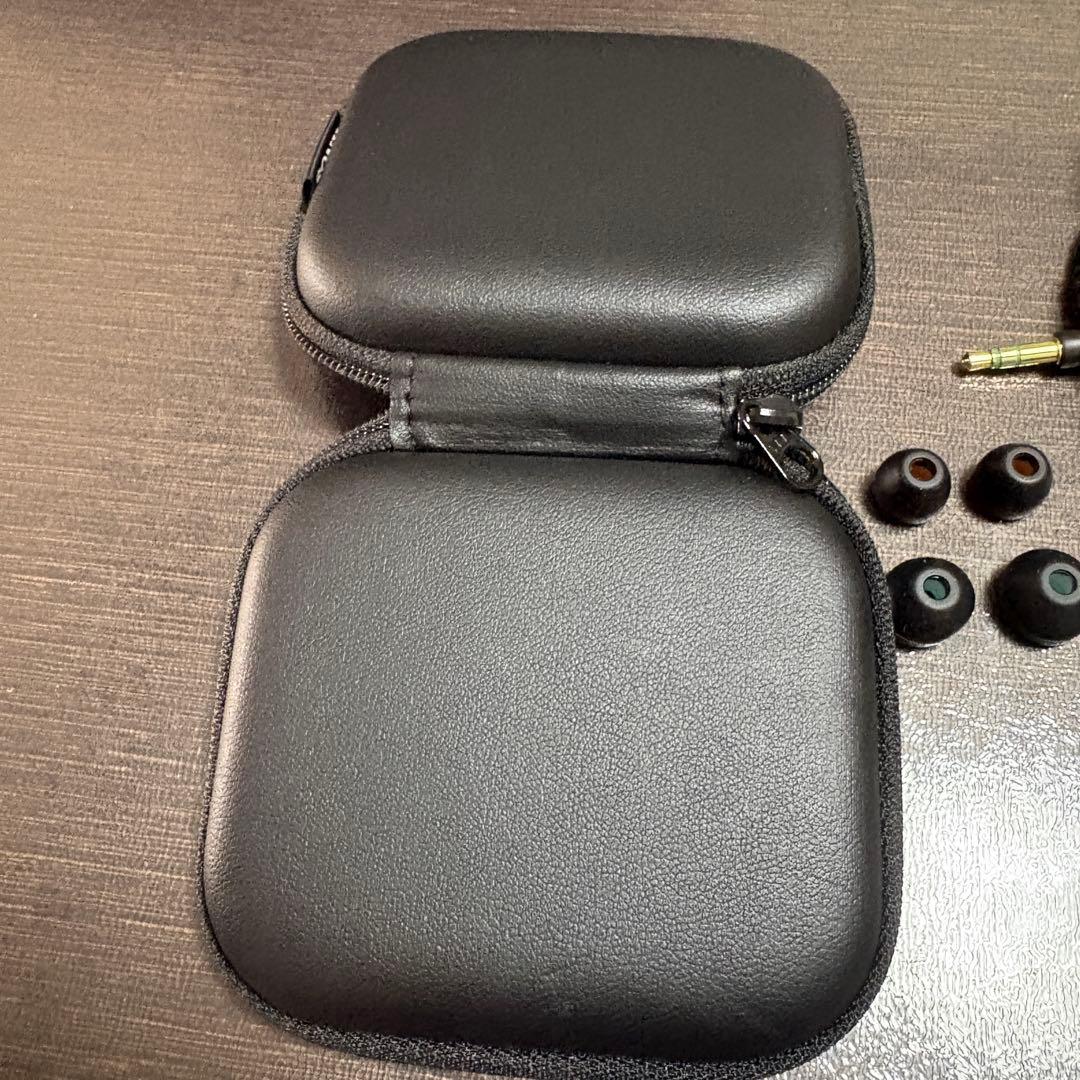 SONY ソニー MDR-EX800ST