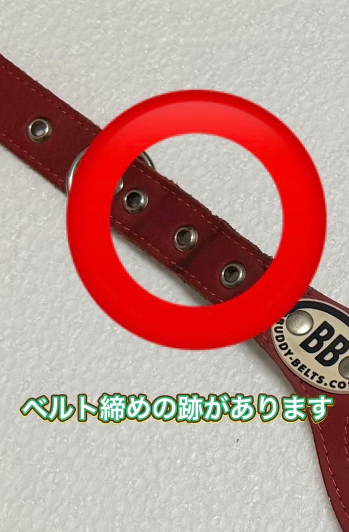 バディベルト5号、リード、ライナーセット