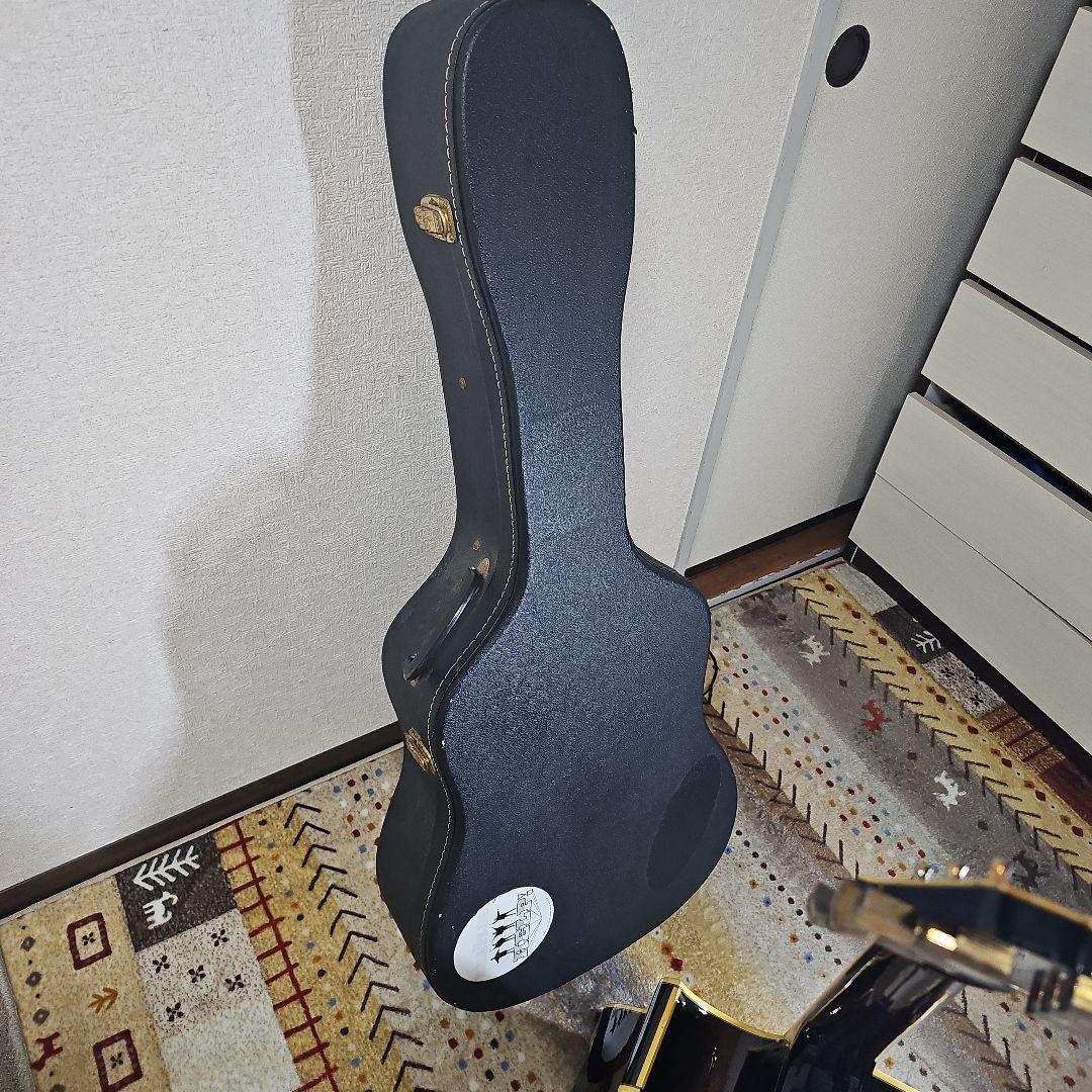 Aria.Elecod.FE-S80エレアコ珍品。