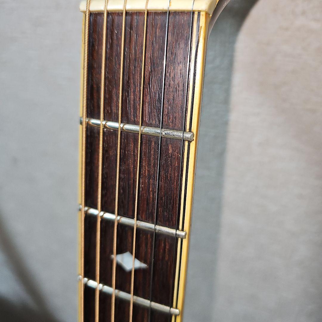 Aria.Elecod.FE-S80エレアコ珍品。